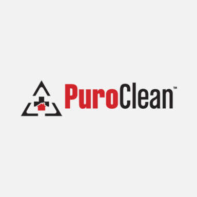 Puro Clean logo