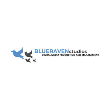BlueRavenStudios logo