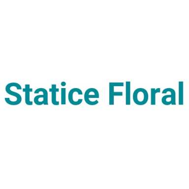Statice Floral logo