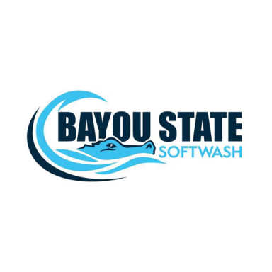 Bayou State Softwash logo