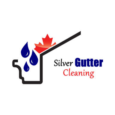 Sliver Gutter Cleaning logo