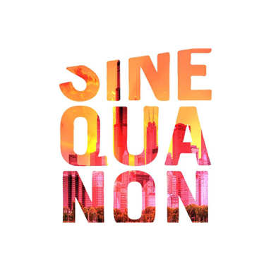 Sine Qua Non Salon - Lakeview logo