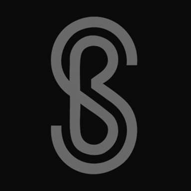 Salon Bass logo