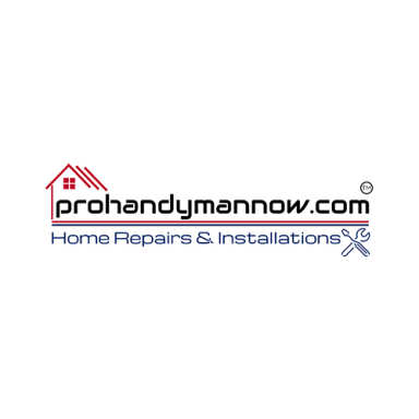 ProHandymanNow.com logo