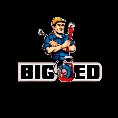 Big Ed logo