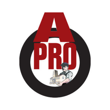 A-Pro Home Inspection logo
