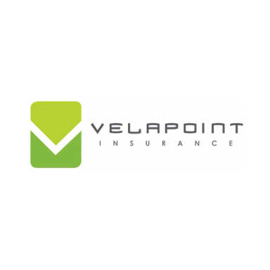 VelaPoint logo