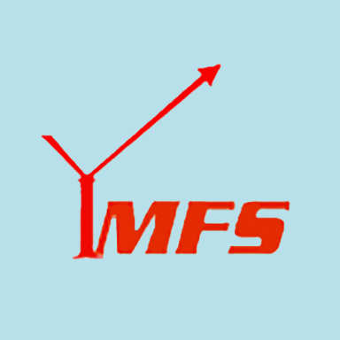 IM Financial Solutions logo