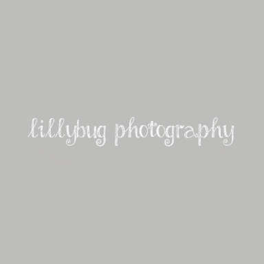 Lillybug Photography logo