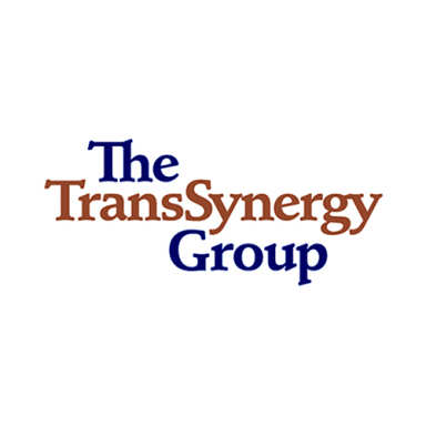 The TransSynergy Group logo