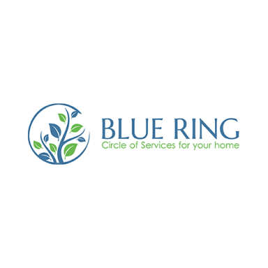 Blue Ring logo