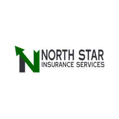 North Star Insurance Services logo