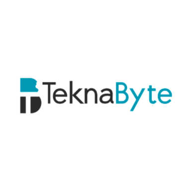 TeknaByte Consulting, LLC logo