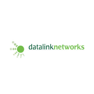 Datalink Networks logo