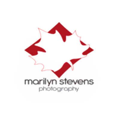 Marilyn Stevens Photography logo