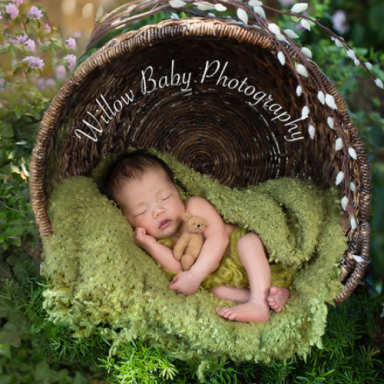 Willow Baby Photography logo