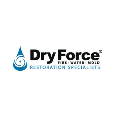 Dry Force logo