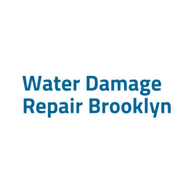 Water Damage Repair Brooklyn logo