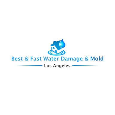 Best & Fast Water Damage & Mold logo