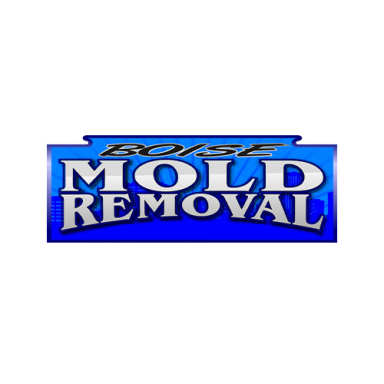 Boise Mold Removal logo