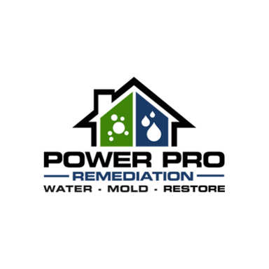 Power Pro Remediation logo