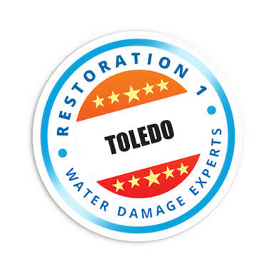 Restoration 1 of Toledo logo