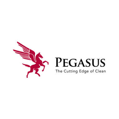 Pegasus logo