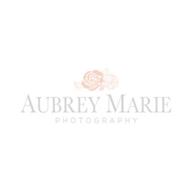 Aubrey Marie Photography, LLC logo