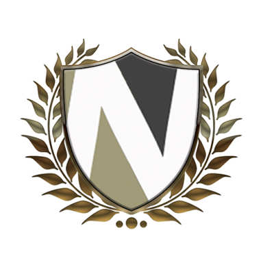 Napolin Accident Injury Lawyer logo