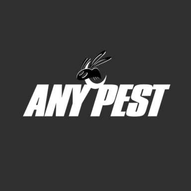Any Pest logo