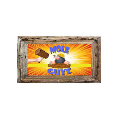 The Mole Guyz logo