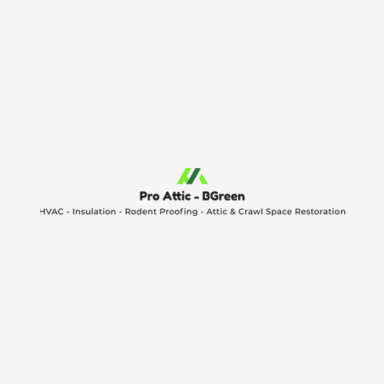 Pro Attic  - BGreen logo