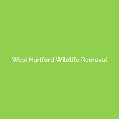 West Hartford Wildlife Removal logo