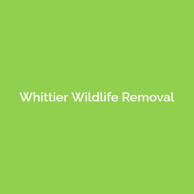 Whittier Wildlife Removal logo