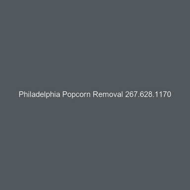 Philadelphia Popcorn Removals logo