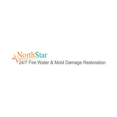 North Star logo