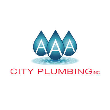 AAA City Plumbing logo