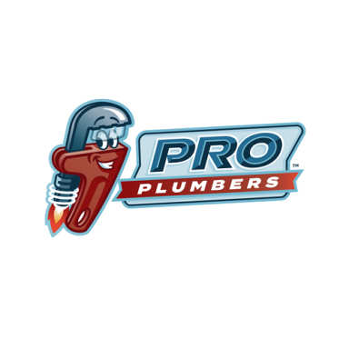 Pro Plumbers logo