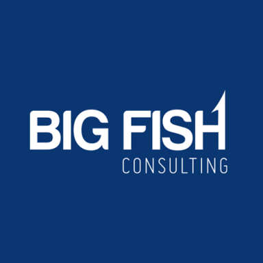 BigFish Consulting logo