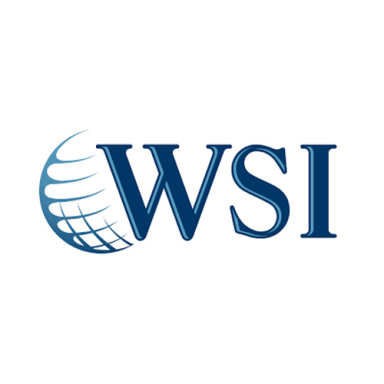 WSI logo