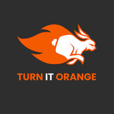 Turn It Orange logo