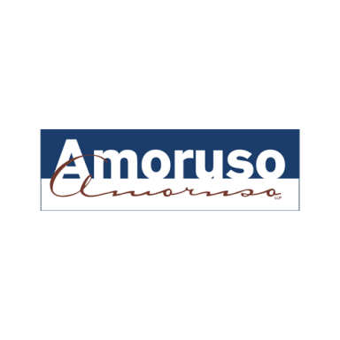 Amoruso & Amoruso LLP logo