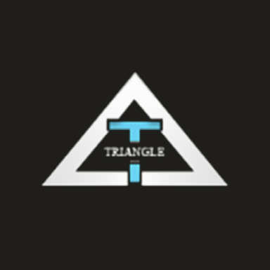 Triangle Car Service logo