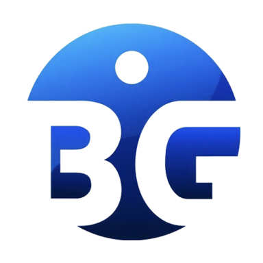 BigInsurance.com logo