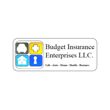 Budget Insurance Enterprises LLC logo