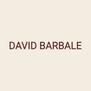 David Barbale logo