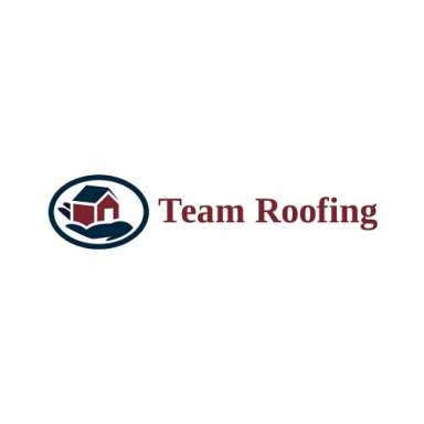 Team Roofing logo