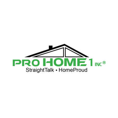 Pro Home 1 Inc logo