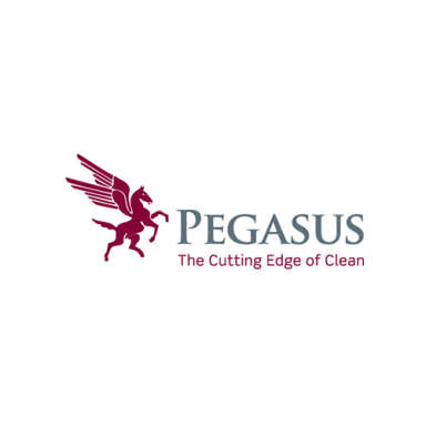 Pegasus Building Services logo