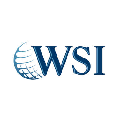 WSI logo